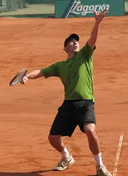 Tzvetan Mihov